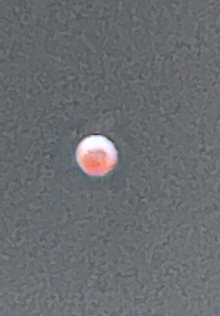 ポーランドは宇宙に入ることができます