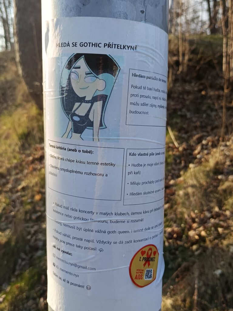 途中で見つかりました