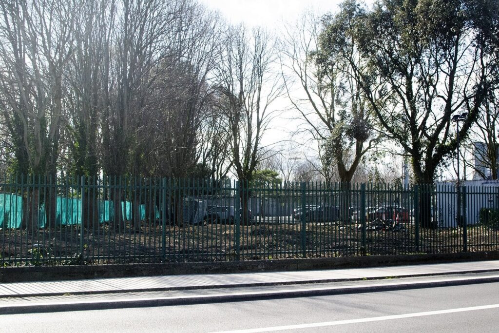 Clontarfでは、誰かが評議会に相談せずに評議会の土地で木を切り倒します。ダブリンの照会者のためのLaoise Neylon