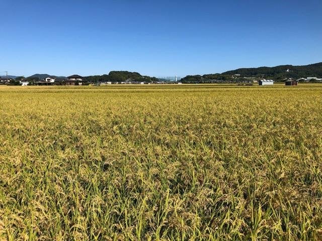 ？？？「日本人は食の事に関しては本気で怒る。現政権が支持されるのは食に困っていないから」→結果