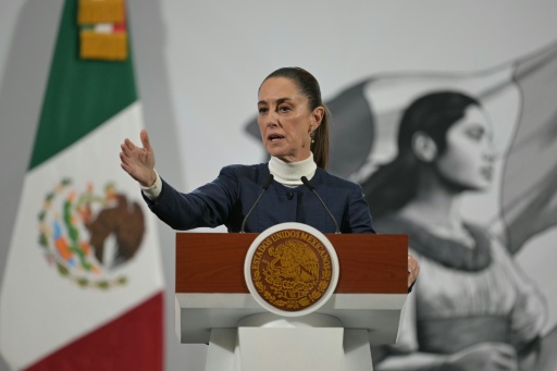 Mexico says won't accept US 'invasion' in fight against cartels