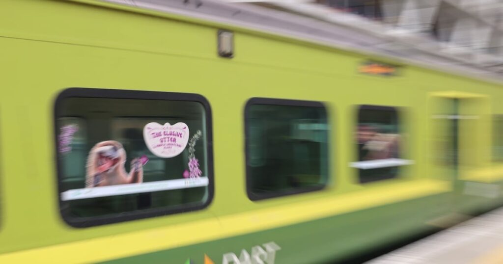 Maynoothの新しいDart West Extensionが司法審査の課題に直面する