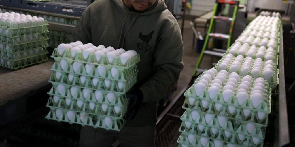 グリーンランドを引き継ぐという繰り返しの主張の後、トランプ政権は不足の中でデンマークに余分な卵を求めています