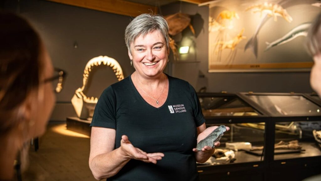 南ユトランド（Otodus Megalodon）で見つかった世界最大のサメ（Otodus Megalodon）