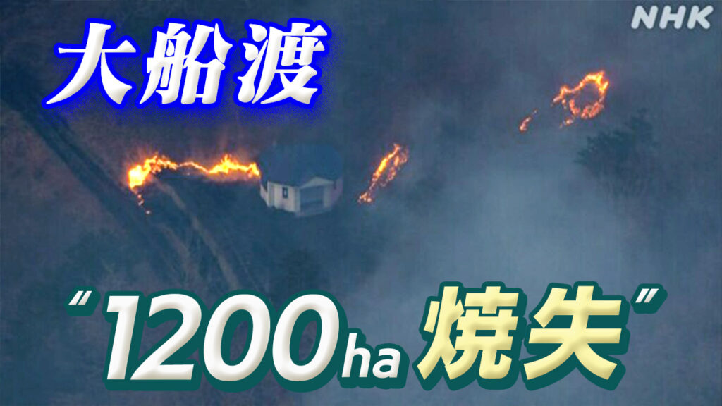 岩手県の山で火事　1200ヘクタールが焼けた | NHKやさしいことばニュース | NEWS WEB EASY