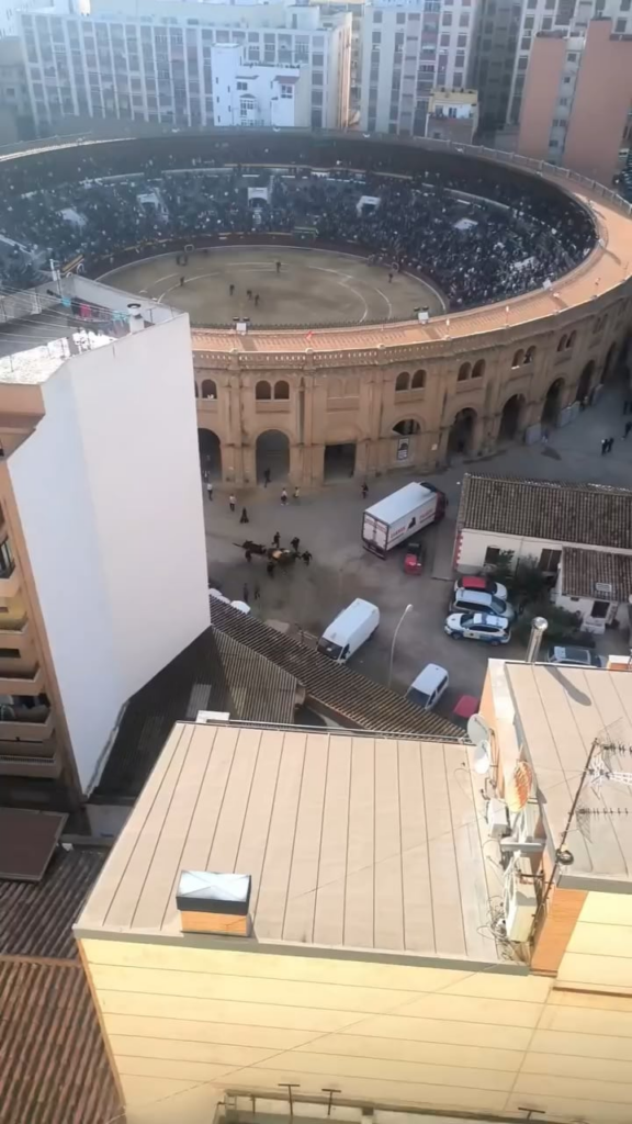 「Corrida de Toros」で撮った映像