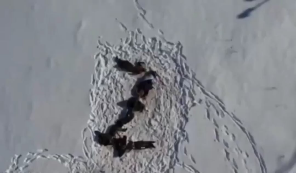 ウクライナの兵士は、死んだロシアの兵士と一緒にプーチンに短いメッセージを送る