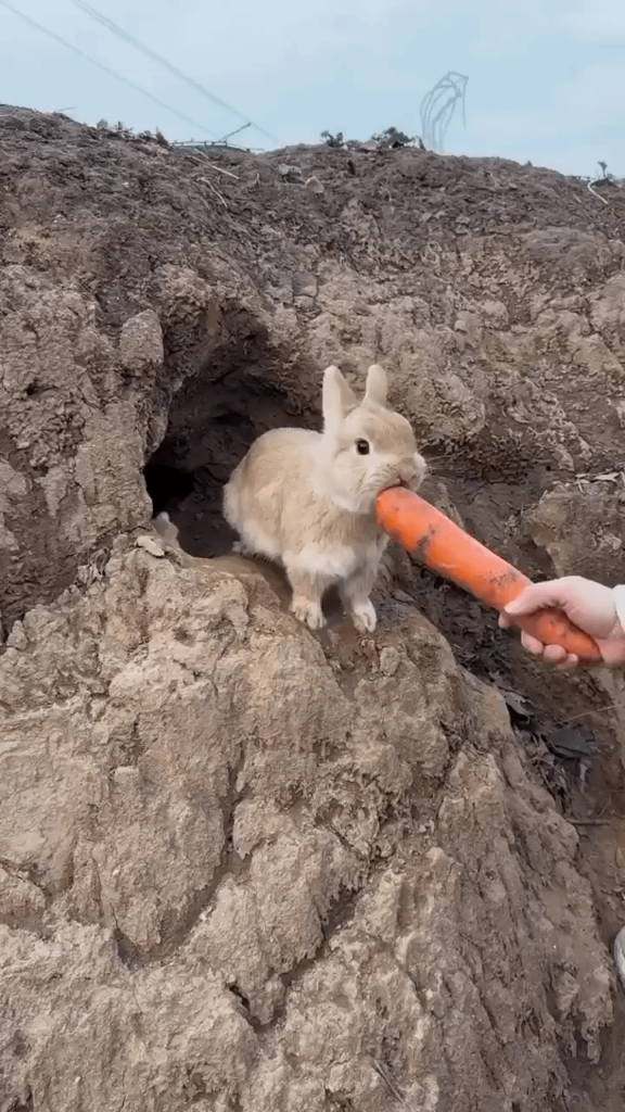 ち◯ぽには勝てなかったよ…