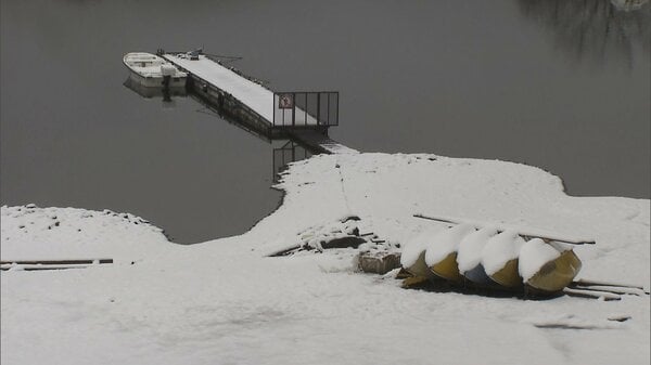 山梨・富士河口湖町で20cm超の積雪…3月としては7年ぶり 雪の影響とみられる倒木相次ぐ