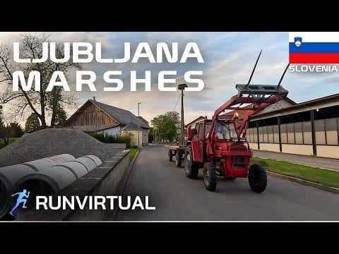 スロベニアの田園地帯を走って探索する：ljubljana沼地の夕日