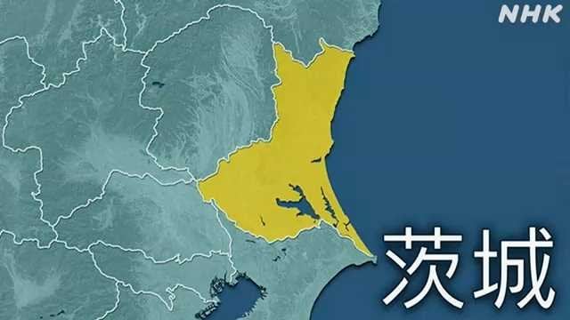 茨城 茨城町でメロン出荷始まる“例年通りの生育で糖度高く”