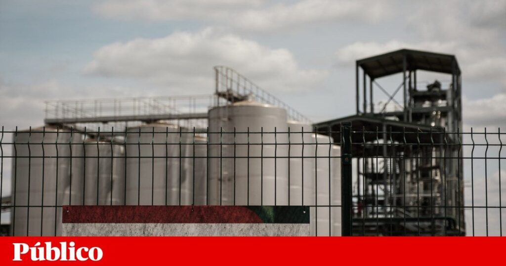 Alentejo Olive Bagasseは、リスボンに悪臭で侵入し続けます|環境|公共