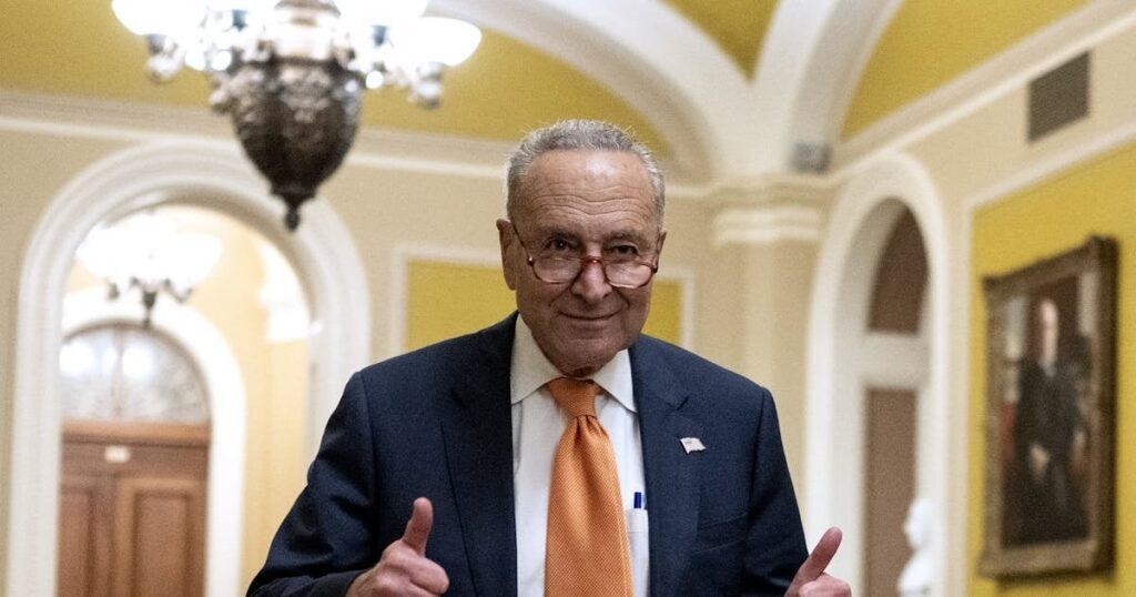 投票します -  9人の民主党の上院議員は、政府を破壊するというドナルド・トランプの計画に彼らの非難を貸しました。有権者は彼らに支払いをさせなければなりません。
