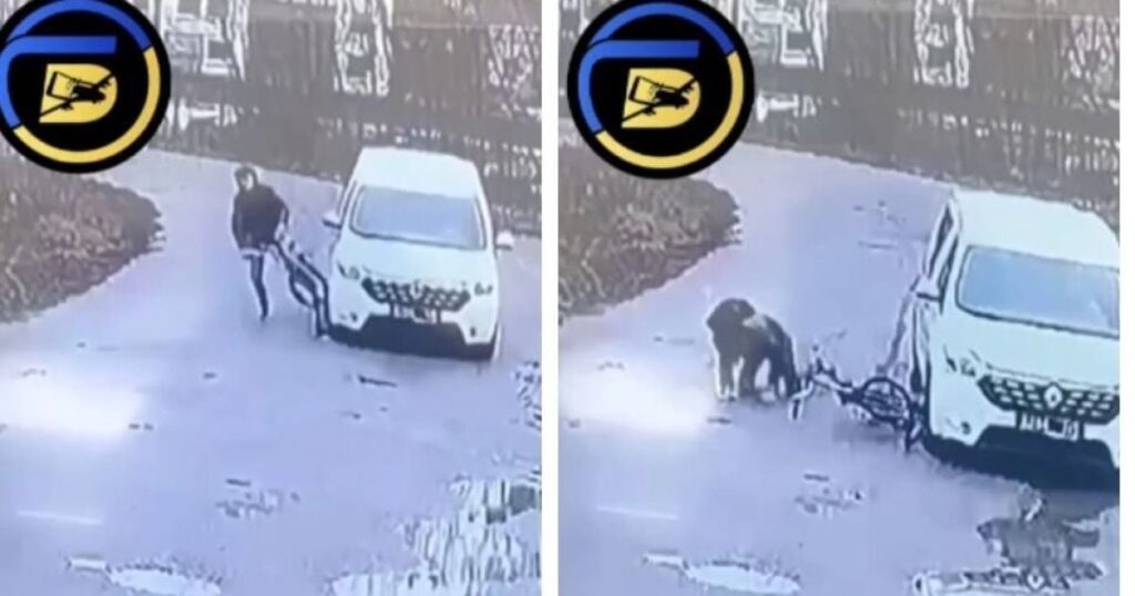 Kharkivでは、TCC車がバイカーにぶつかり、別のビデオが彼が追いかけられ、「バスシェ化」していることを示しています。
