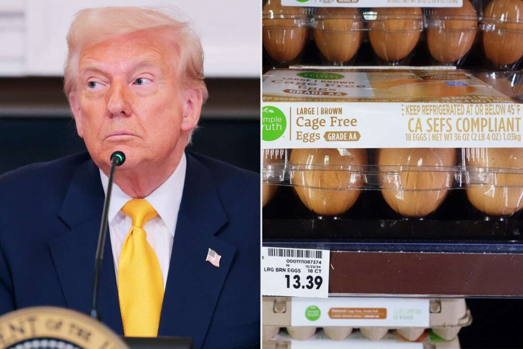 トランプが「卵の価格について黙って」という記事を投稿した後、新しいデータは、米国の卵コストがどれだけ急上昇したかを明らかにします