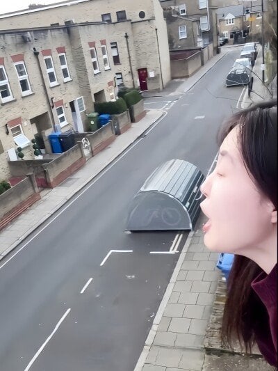 英国で迷惑行為の中国人留学生が日本人のふり、中国ネット民「よくやった」―台湾メディア
