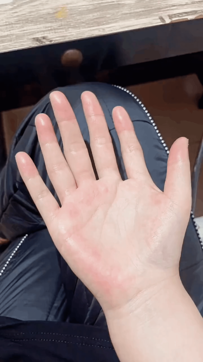 これの動画見たの意外とはじめてかも