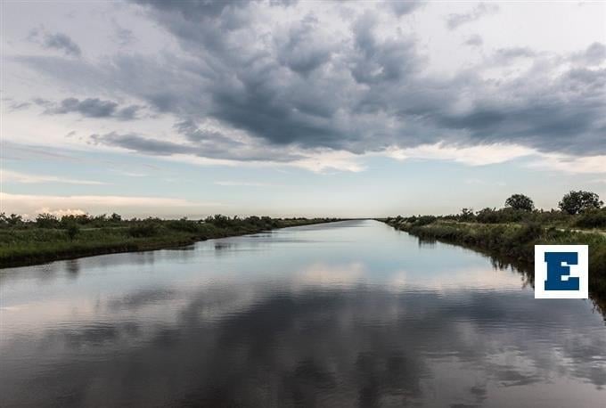 Delta Evros：ターゲットの無意識または野生生物では、彼らは数十の動物や鳥を投げて殺します。