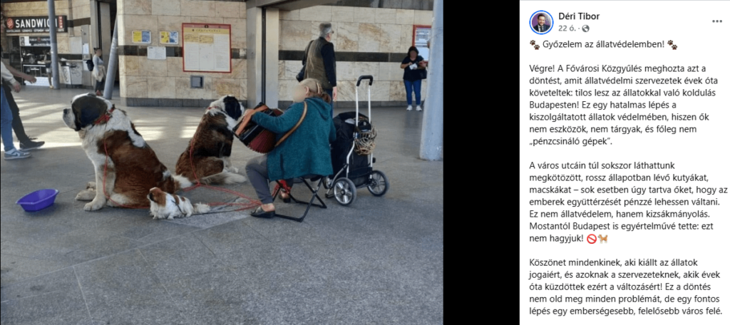 ブダペストで動物と懇願することは禁じられています