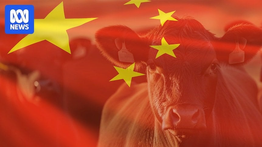 中国から「追い出される」ことからの私たちの肉の貿易日