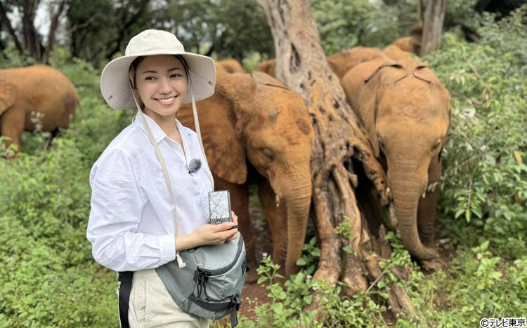 二階堂ふみ アフリカで出会った「ゾウの奇跡」に感動!:海と大地を救う!ニッポンの挑戦者たち | テレ東・BSテレ東の読んで見て感じるメディア テレ東プラス 二階堂ふみ アフリカで出会った「ゾウの奇跡」に感動!:海と大地を救う!ニッポンの挑戦者たち | テレ東・BSテレ東の読んで見て感じるメディア テレ東プラス