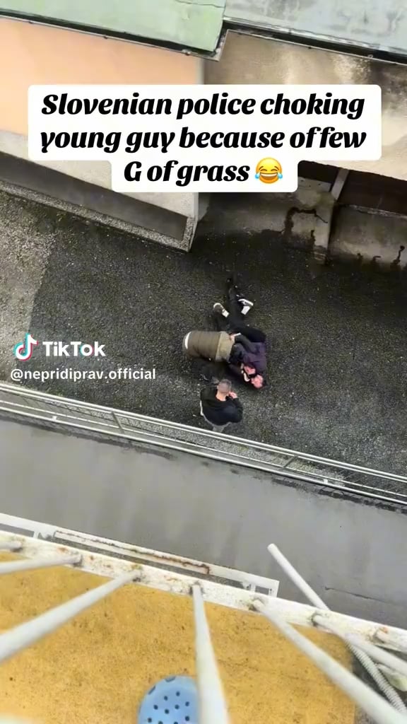 スロベニアの犯罪者のタスクの専門的なパフォーマンス