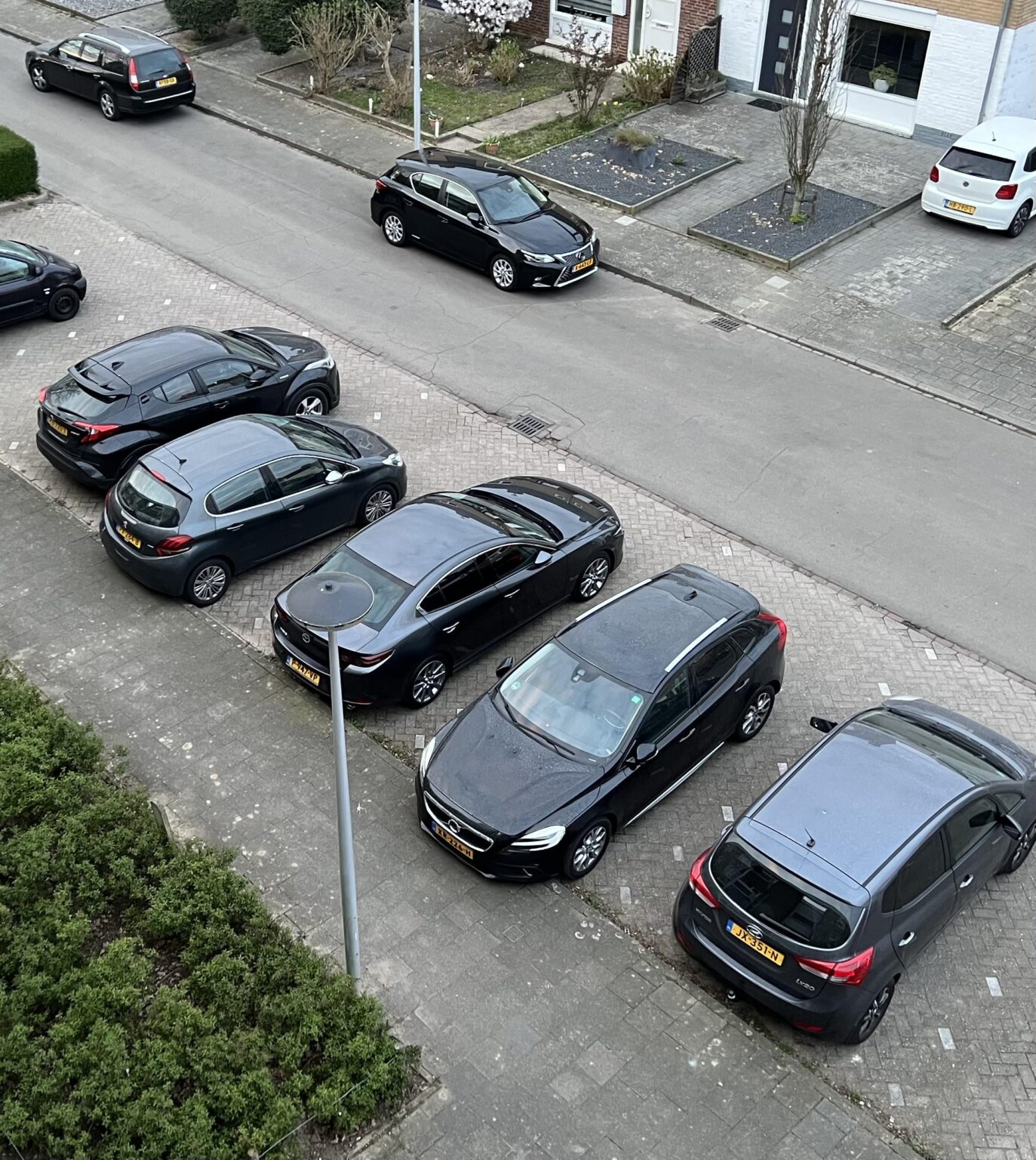 いつ再び色のある車を買うのですか？ 🥹