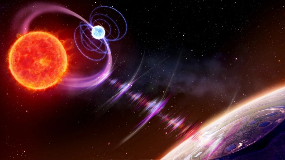 赤色矮星（左）と白色矮星が互いを密接に周回する様子を描いた想像図。天文学者は、この接近した軌道によって恒星の磁場が相互作用し、２時間ごとに電波パルスが放出されるとの見方を示す / Daniëlle Futselaar / artsource.nl