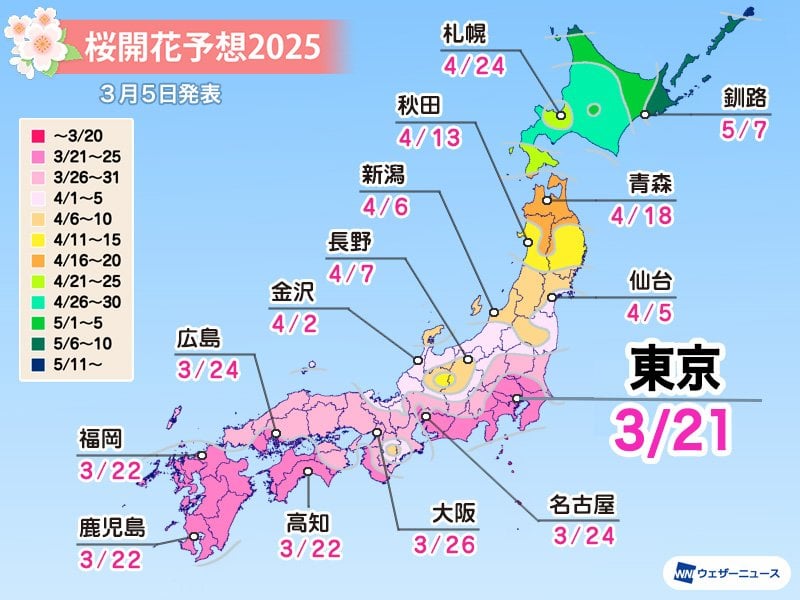 2025年 第五回桜開花予想 開花スタートは東京と宮崎で3月21日 つぼみの生長も段々と進む