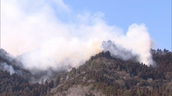 山梨・大月市の山林火災で東京消防庁職員を聴取「枝燃やしている時に燃え移った」森林法違反の疑いあるとみて捜査
