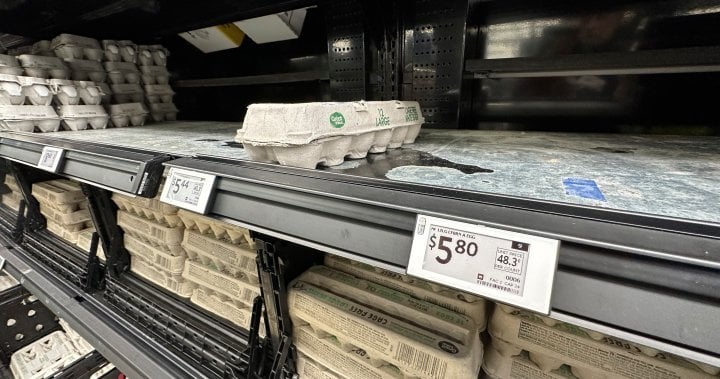価格が高騰するにつれて、私たちはより多くの卵を輸入するかもしれません。カナダは「議論して幸せ」と言います