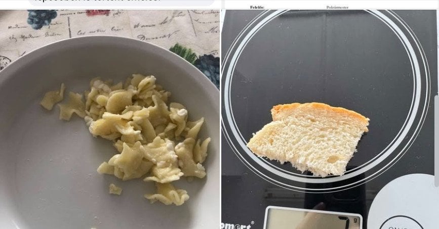 ミスコルクの子供たちに飢vに戻るフィデスに優しいケータリング