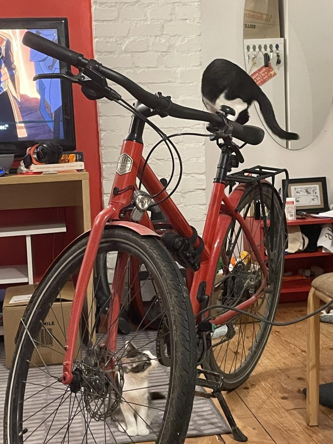 Tartu：ガールフレンドは、Ampler Stellar 2021 Electric Bicycle Red、Tartu、Vanemuine-Peplerから盗まれました。ファインダーまたはヒントの場合、ホイールには250ユーロの謝礼があります。所有者を助けてください