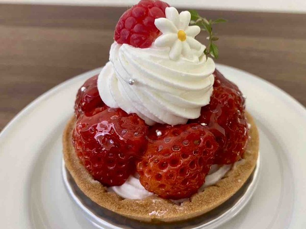 第50期 棋王戦 五番勝負 第3局