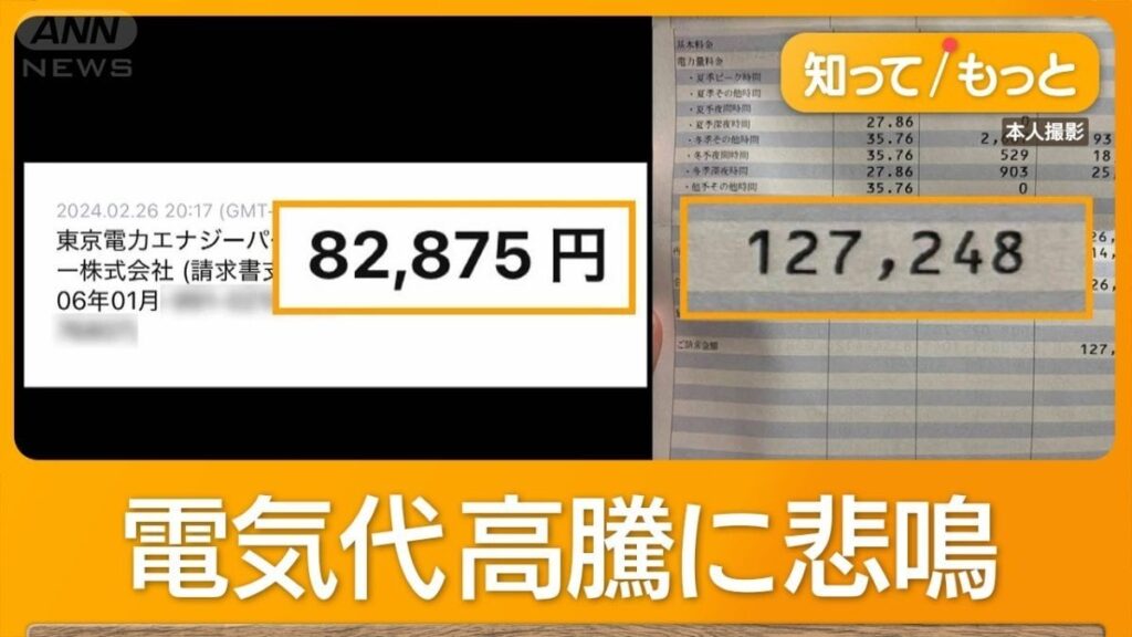 「家賃レベル…」電気代高騰に悲鳴　月12万円超の家庭も