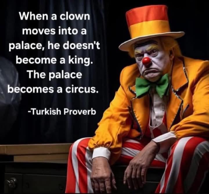 🤡🤡