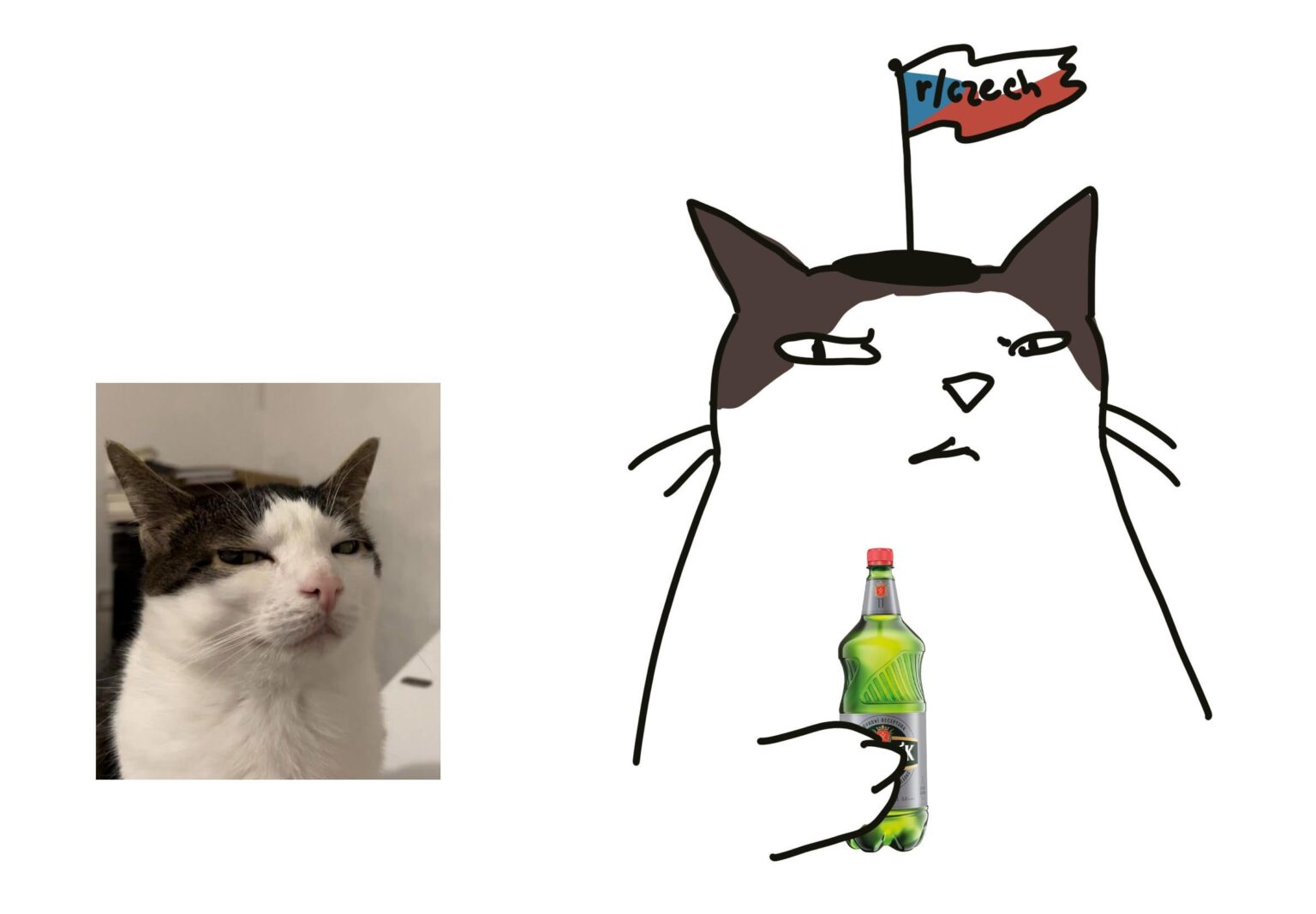 私はあなたの猫を塗ります