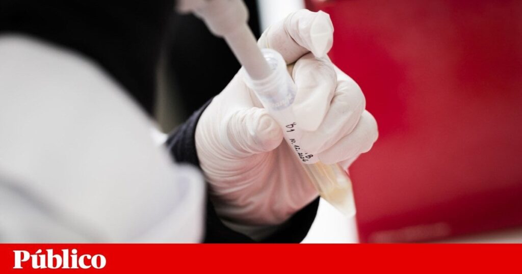 マルセロの科学的キャリア法に対する拒否権の要求は、適用について疑いを求めています