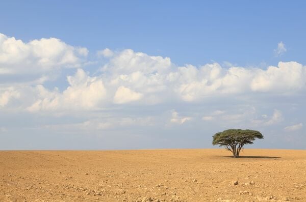 アフリカから見えてくる新しい思想がある（写真：Rokas Tenys/shutterstock）