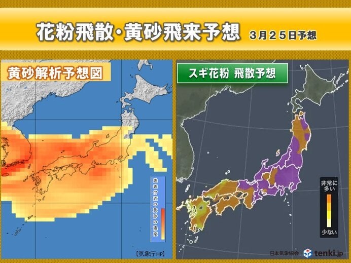 明日23日から「花粉+黄砂」のダブルパンチ 25日は要注意 予防や対策ポイントは
