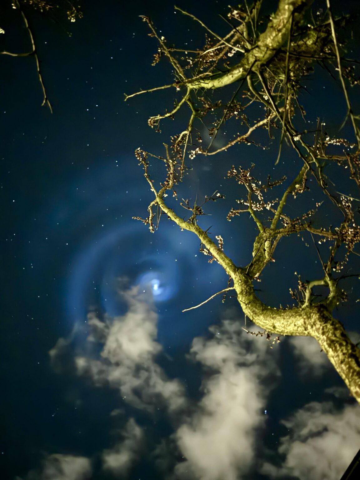 空に何か