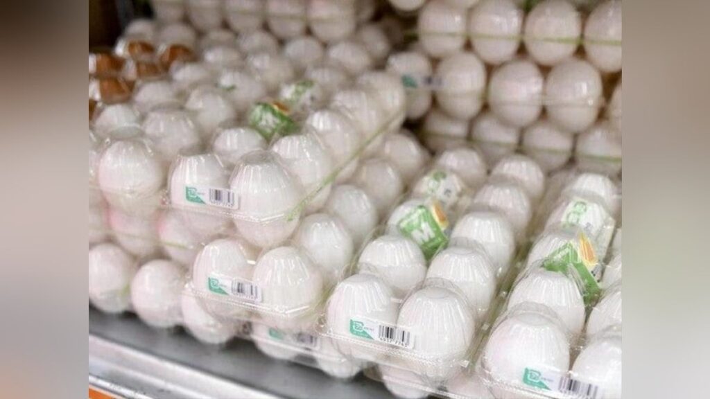 今年の鶏卵生産、６％減の見込み…当面高値続くものの７月頃から下落か