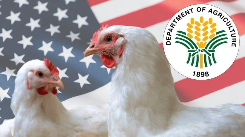 フィリピンは、鳥インフルエンザの恐怖の中で米国の州から家禽の輸入を禁止します