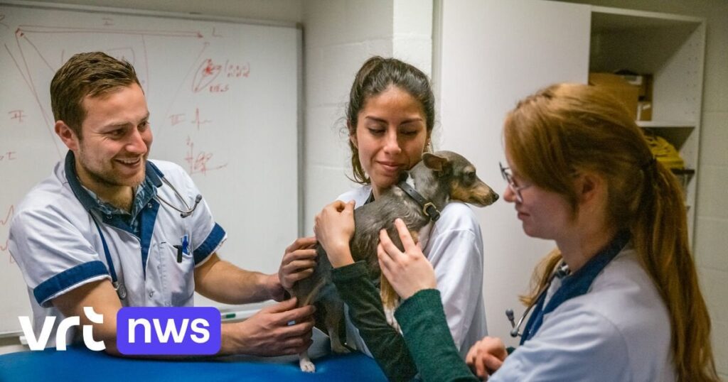 Ugentは、犬と猫の関心臨床研究を強調しています。