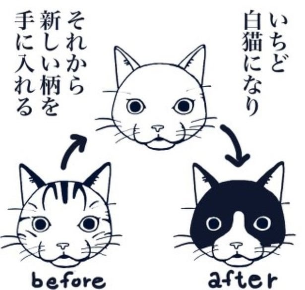 死んだ猫は一度白猫へ戻り、生まれ変わるとき新しい柄を与えられる！「いつかまた会える」を描く感動作