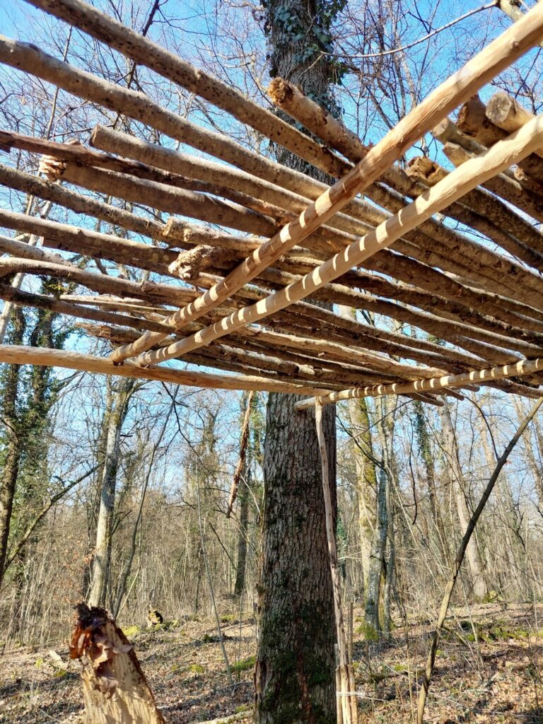私は森の中で「家」を一人で作っています！