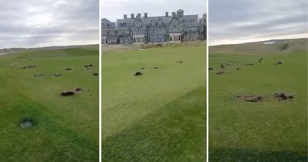 グリーンズが掘り、ドナルドトランプのドゥーンベッグゴルフ装備に植えられたパレスチナの旗