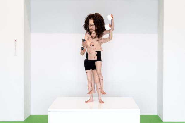 井田大介 〈Synoptes〉 2023年