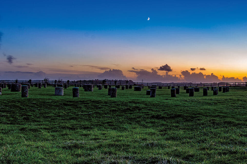 「紀元60年頃の夫婦の暮らし」すらありありと...最新技術でこんなに変わった「考古学」の現場風景 - ニューズウィーク日本版