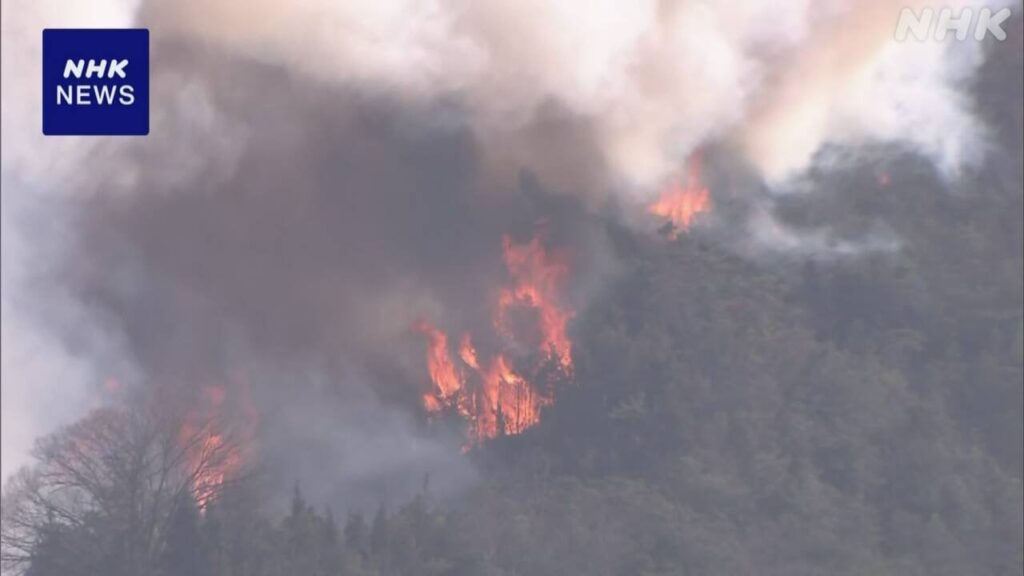 岡山市南区で山火事が発生 延焼中 消防が消火活動